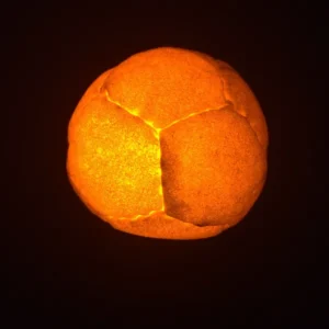 LED Bean Bag Juggle Ball and Foot Bag