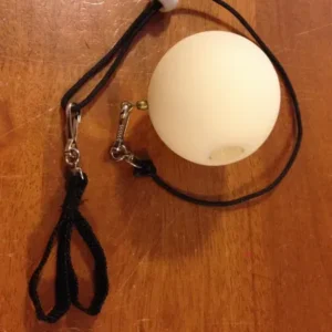 LED POI BALL set of 2 Rechargeable or Non-Rechargeable (pro soft shell)